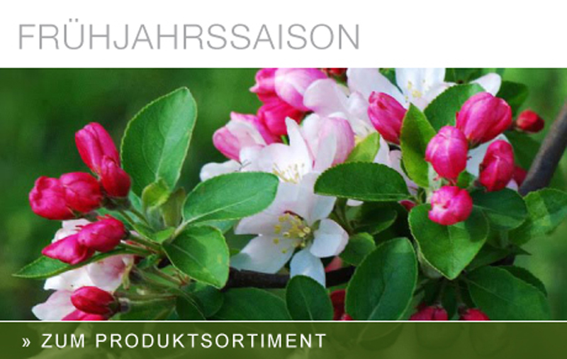 Frühjahrssaison
